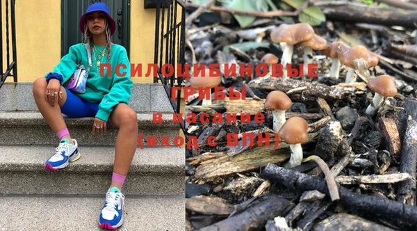 эйфоретик Нея